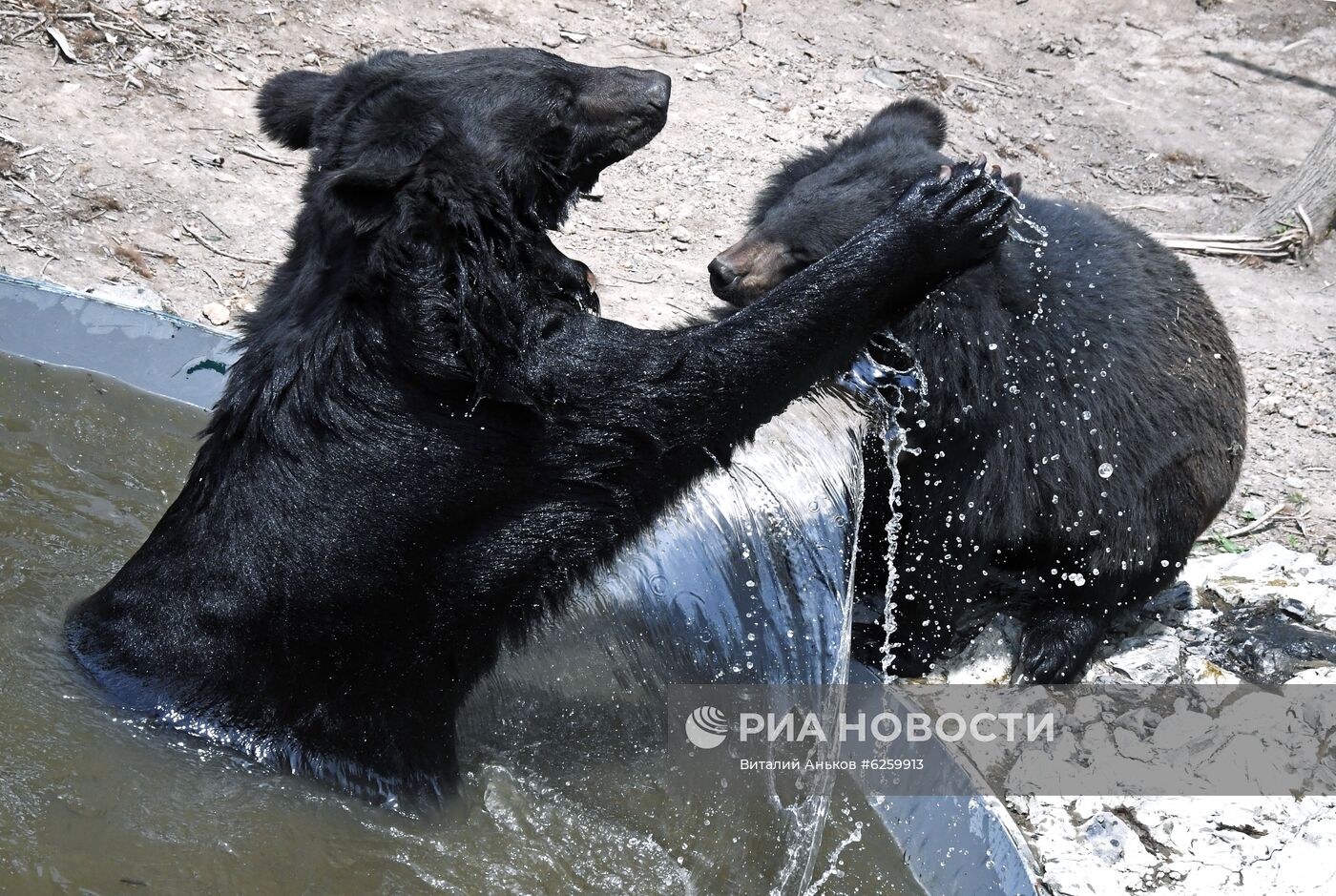 Зоопарк "Садгород" во Владивостоке открылся для посетителей 