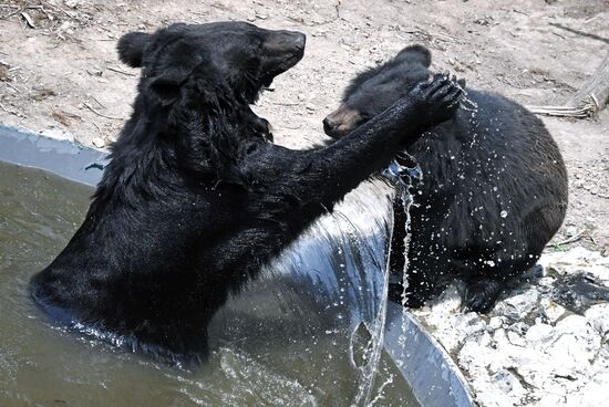 Зоопарк "Садгород" во Владивостоке открылся для посетителей 