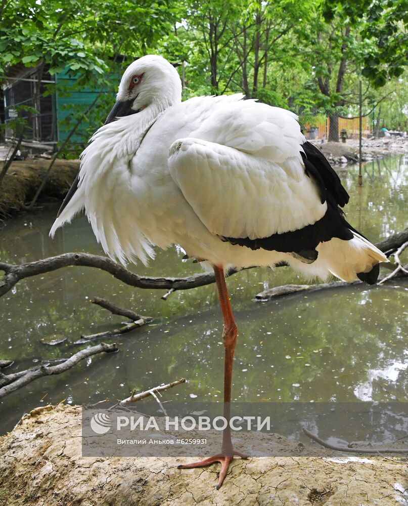 Зоопарк "Садгород" во Владивостоке открылся для посетителей 