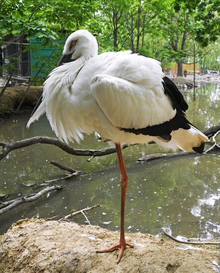 Зоопарк "Садгород" во Владивостоке открылся для посетителей 