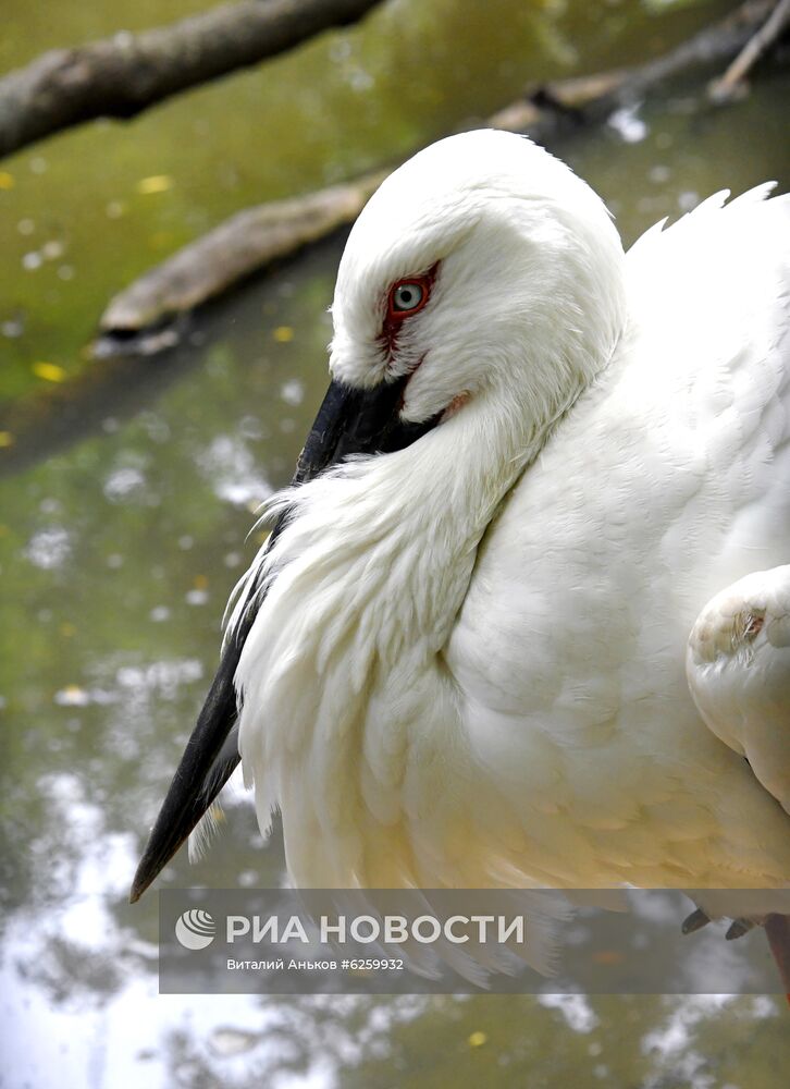 Зоопарк "Садгород" во Владивостоке открылся для посетителей