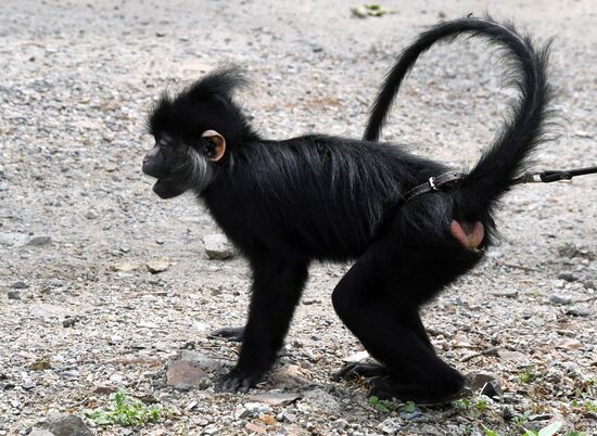 Зоопарк "Садгород" во Владивостоке открылся для посетителей 