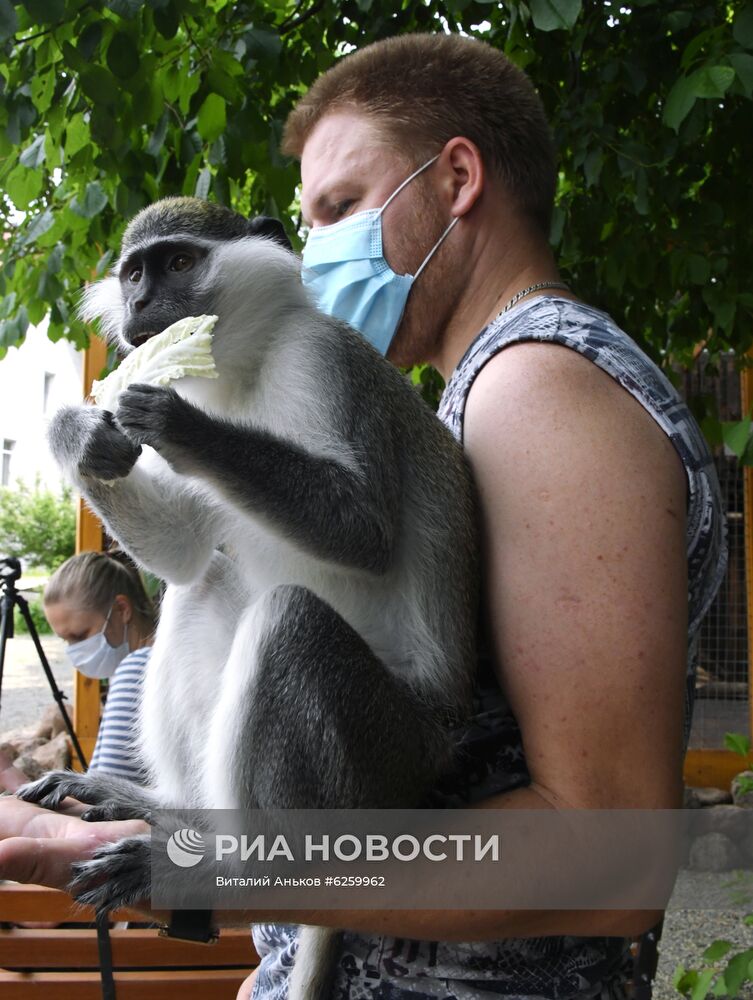 Зоопарк "Садгород" во Владивостоке открылся для посетителей