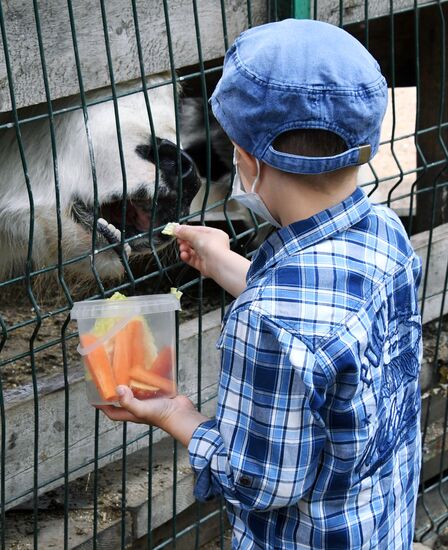 Зоопарк "Садгород" во Владивостоке открылся для посетителей 