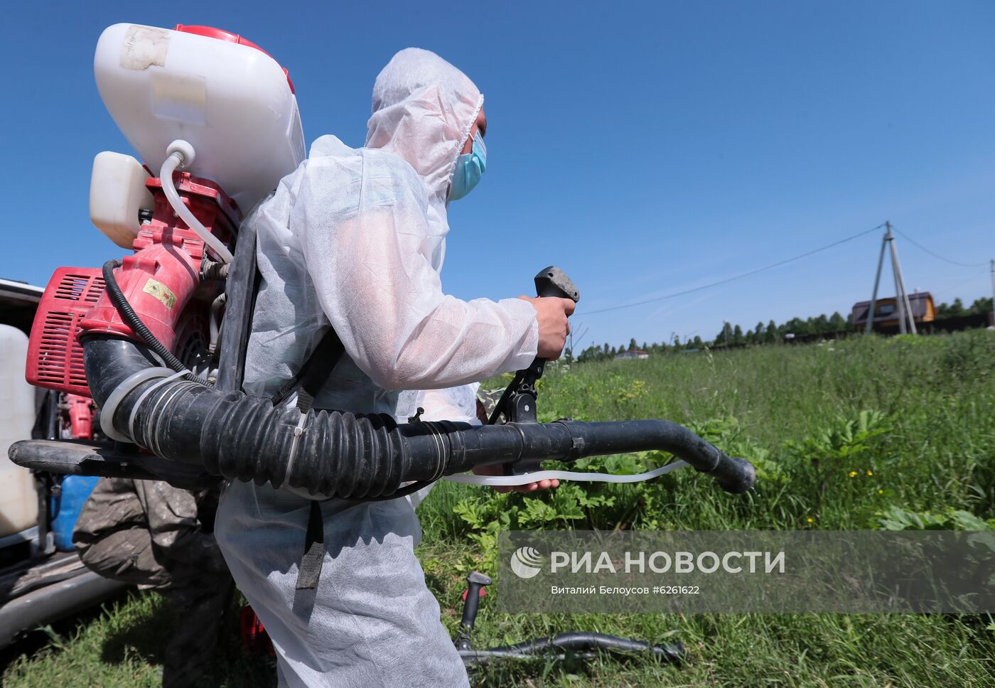 Уничтожение борщевика в Тульской области 