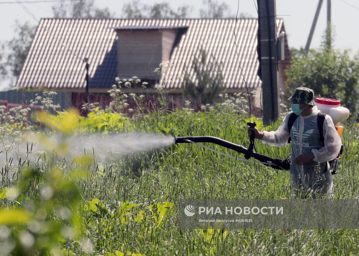 Уничтожение борщевика в Тульской области 