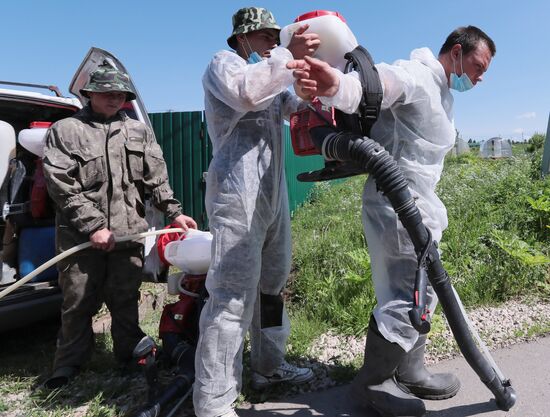 Уничтожение борщевика в Тульской области 