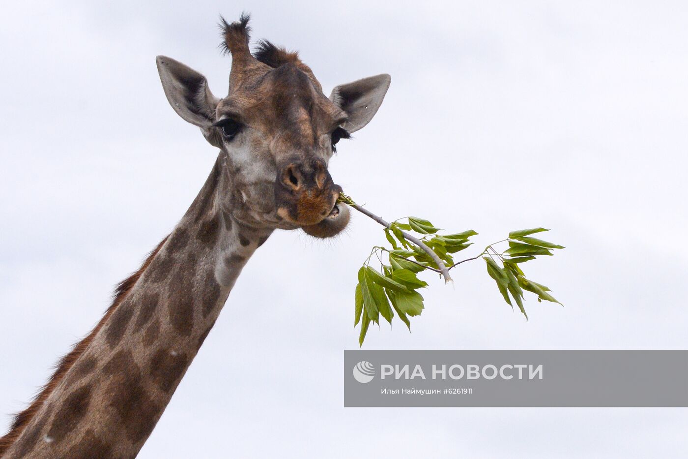 Парк "Роев ручей" в Красноярске