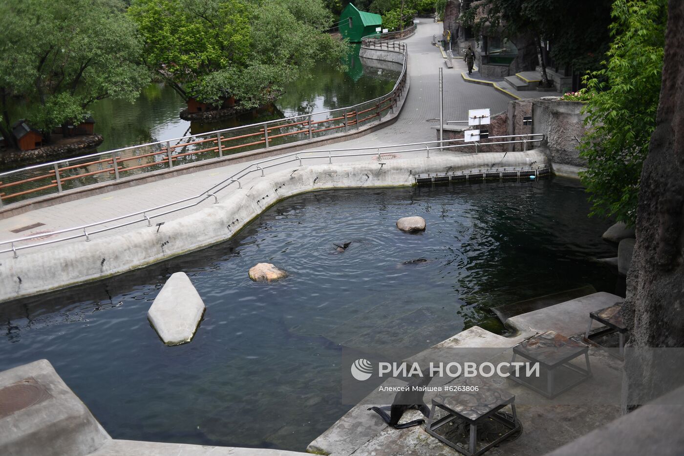 Подготовка Московского зоопарка к открытию после карантина