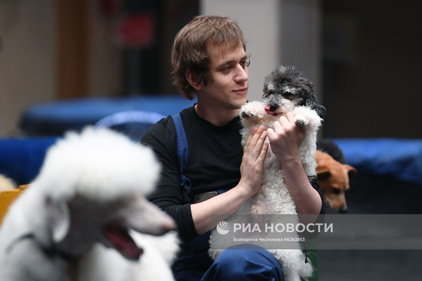 Возобновление репетиций в Большом Московском цирке