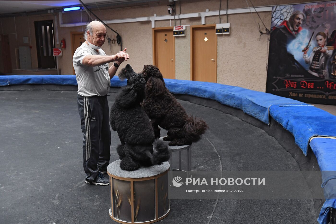 Возобновление репетиций в Большом Московском цирке