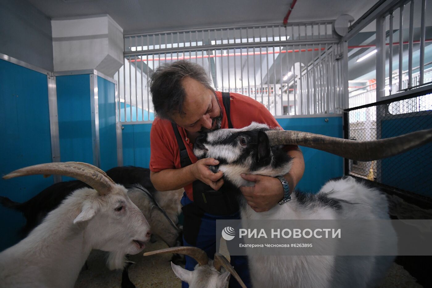 Возобновление репетиций в Большом Московском цирке