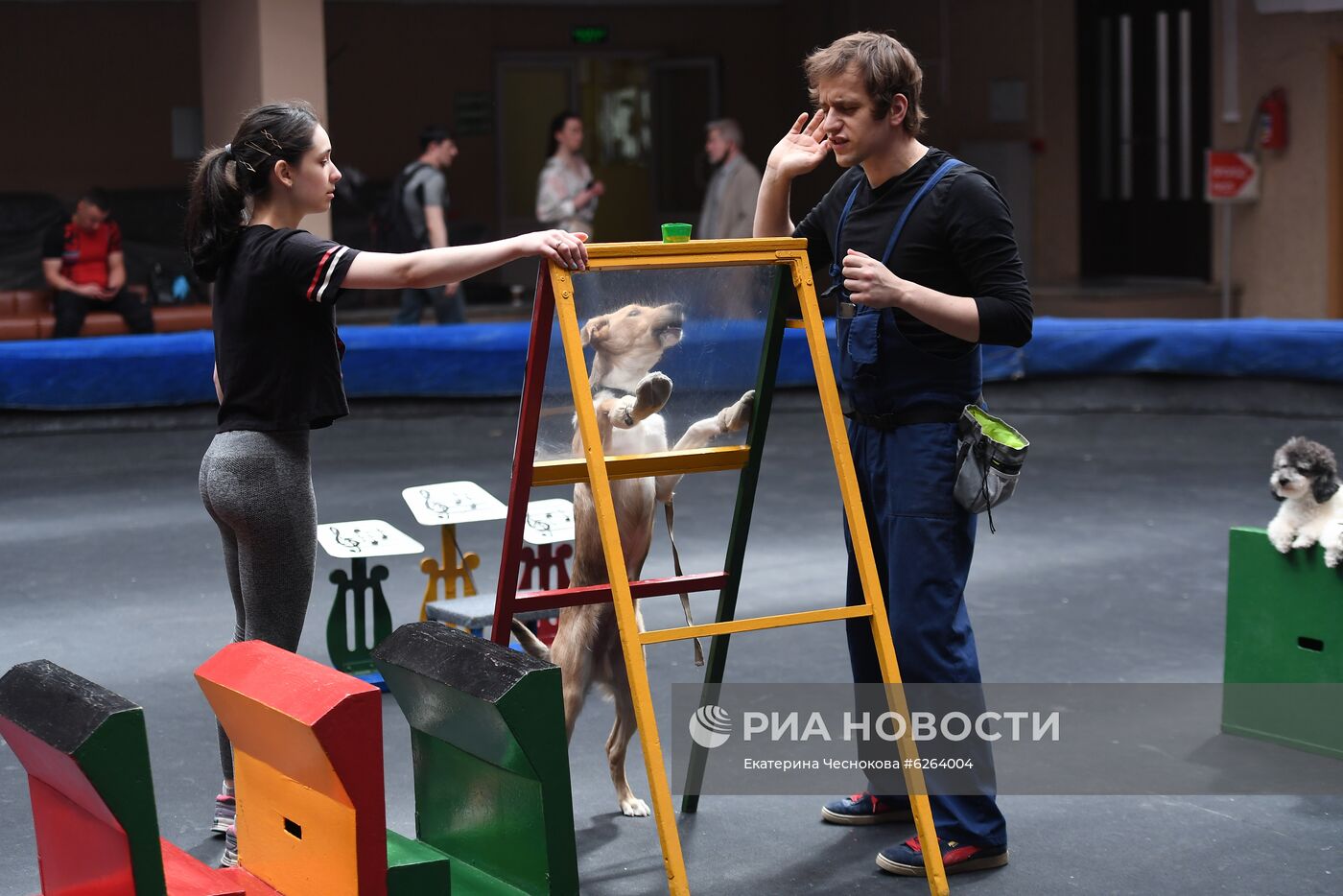 Возобновление репетиций в Большом Московском цирке