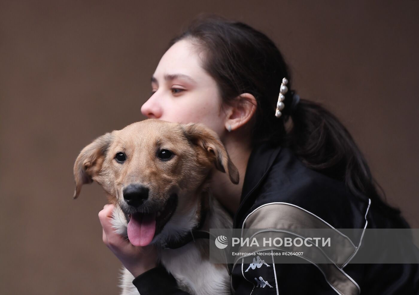 Возобновление репетиций в Большом Московском цирке