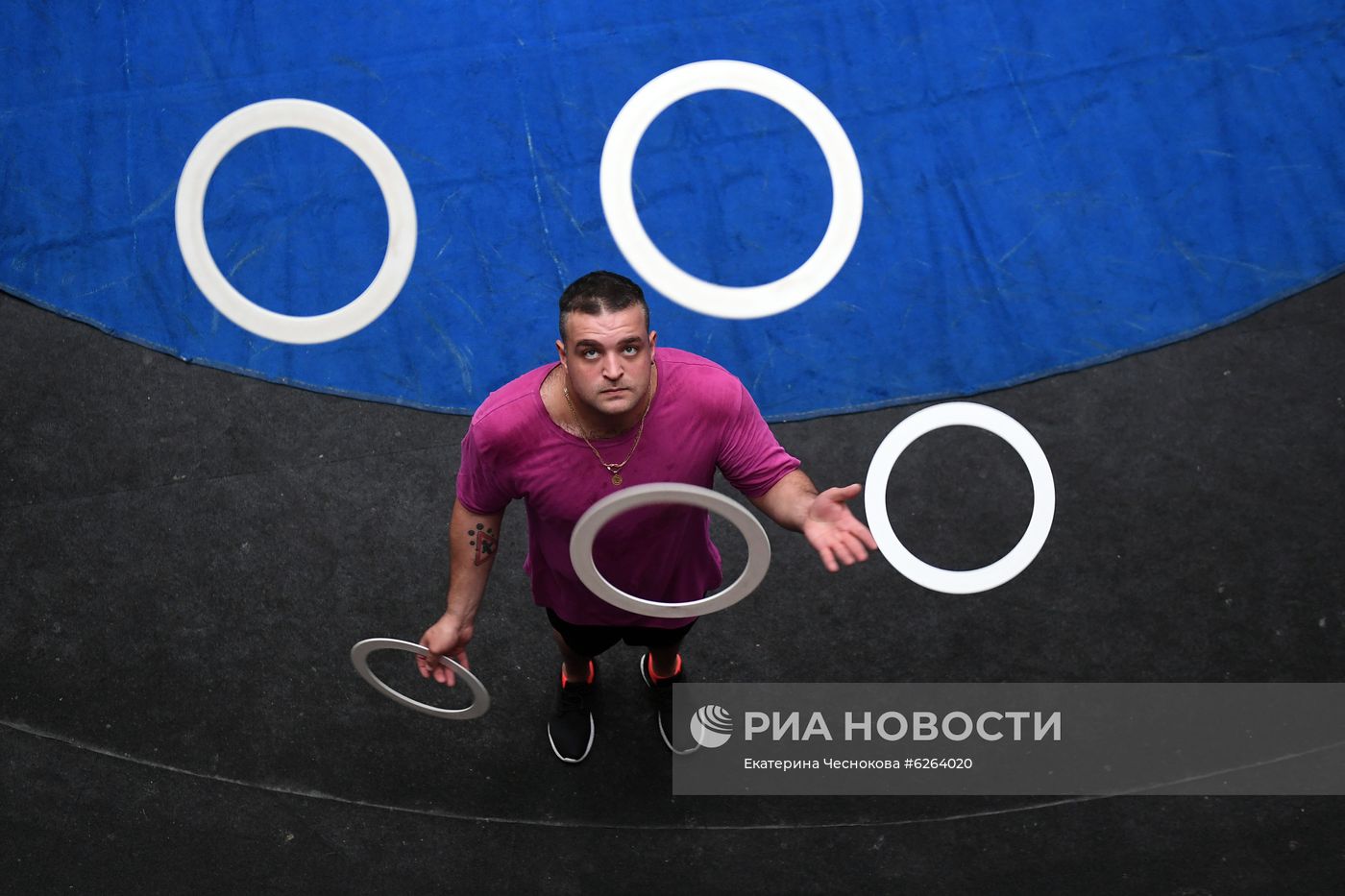 Возобновление репетиций в Большом Московском цирке