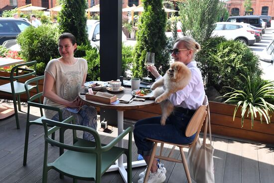 Открытие летних веранд в Москве