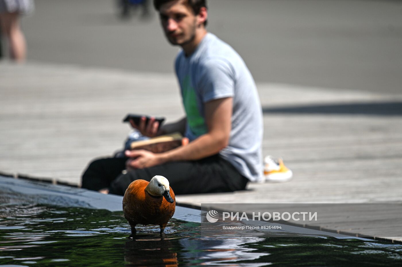 Летний отдых в Москве