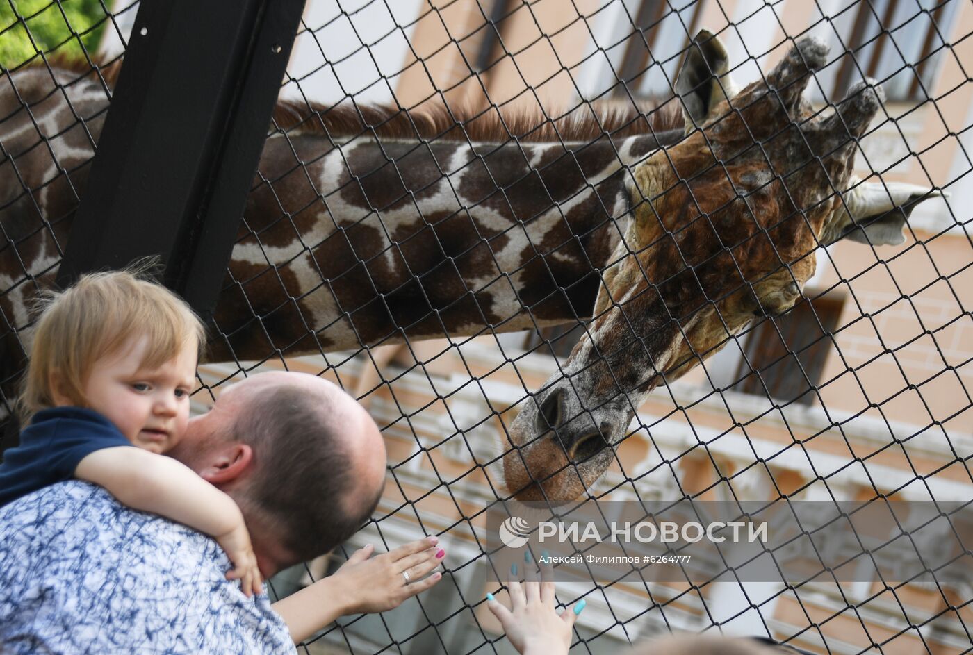 Московский зоопарк возобновил работу