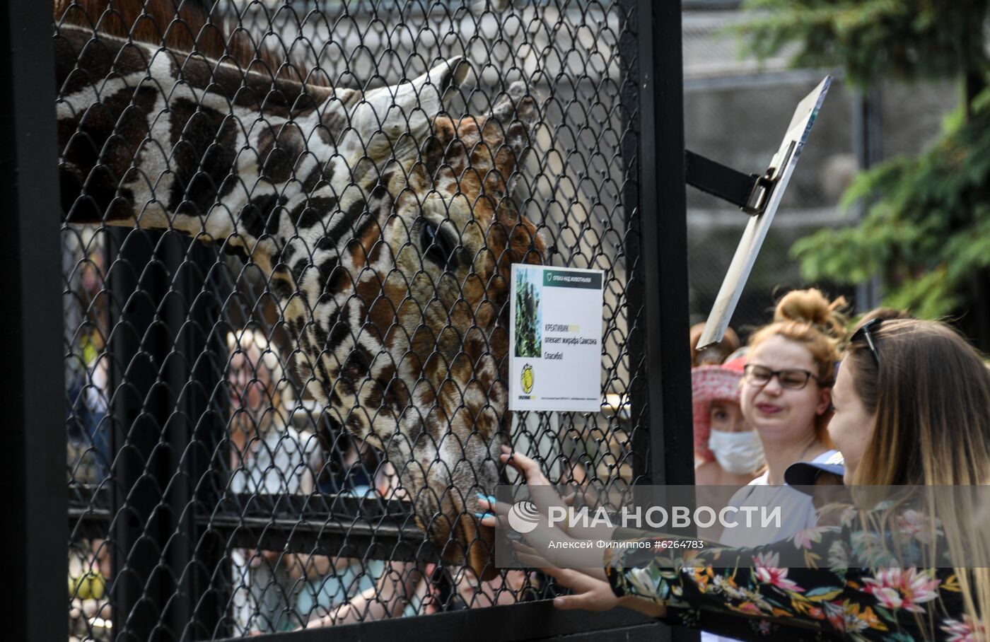 Московский зоопарк возобновил работу