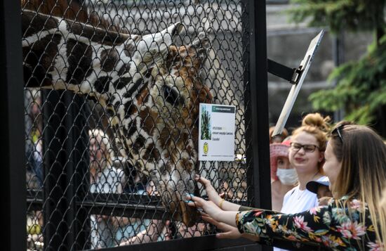 Московский зоопарк возобновил работу