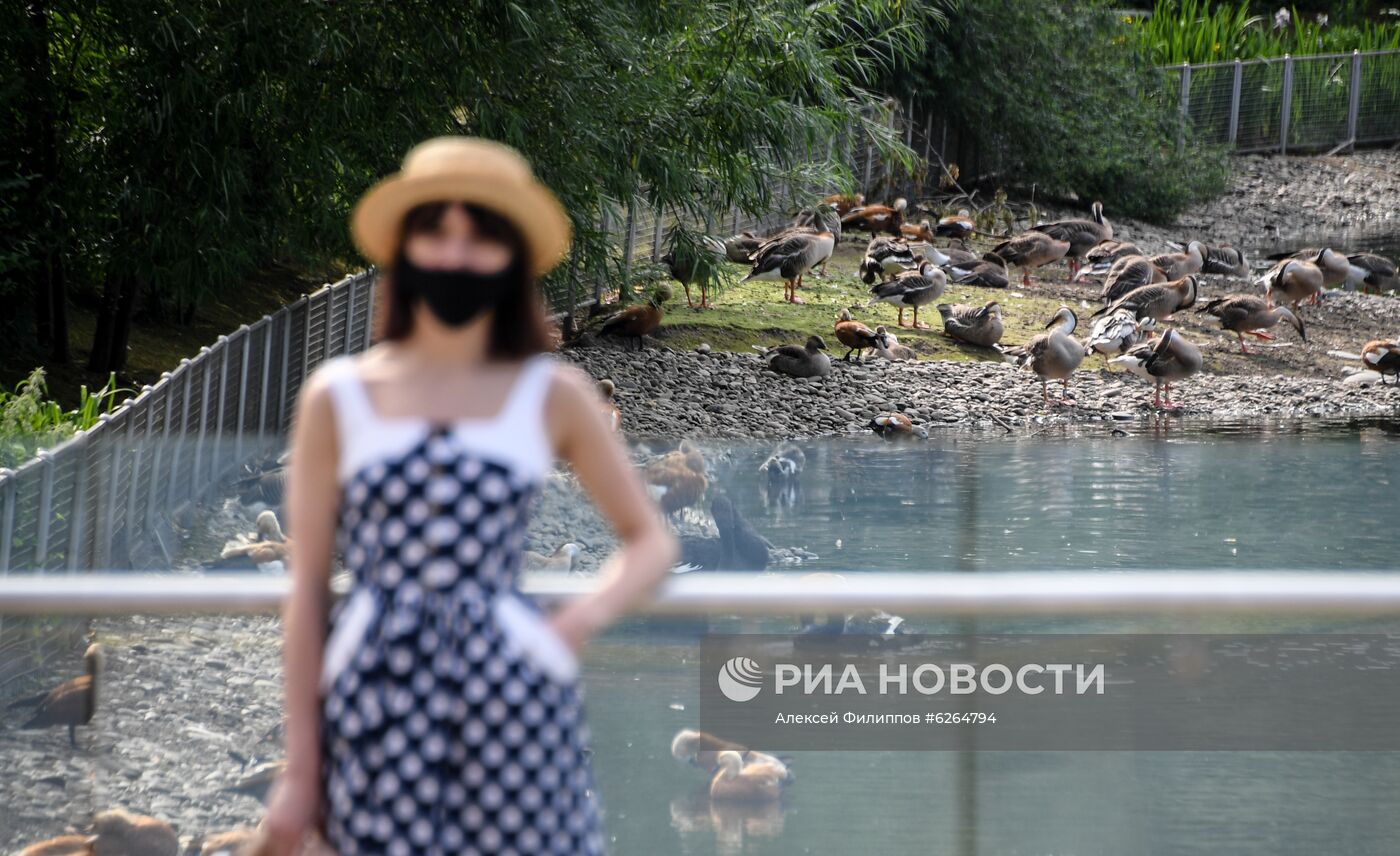 Московский зоопарк возобновил работу