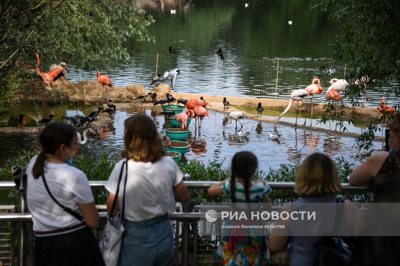 Московский зоопарк возобновил работу