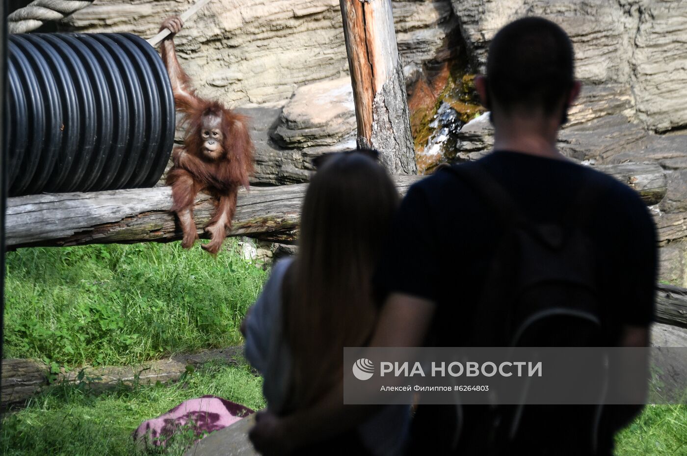 Московский зоопарк возобновил работу