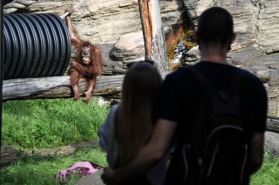 Московский зоопарк возобновил работу