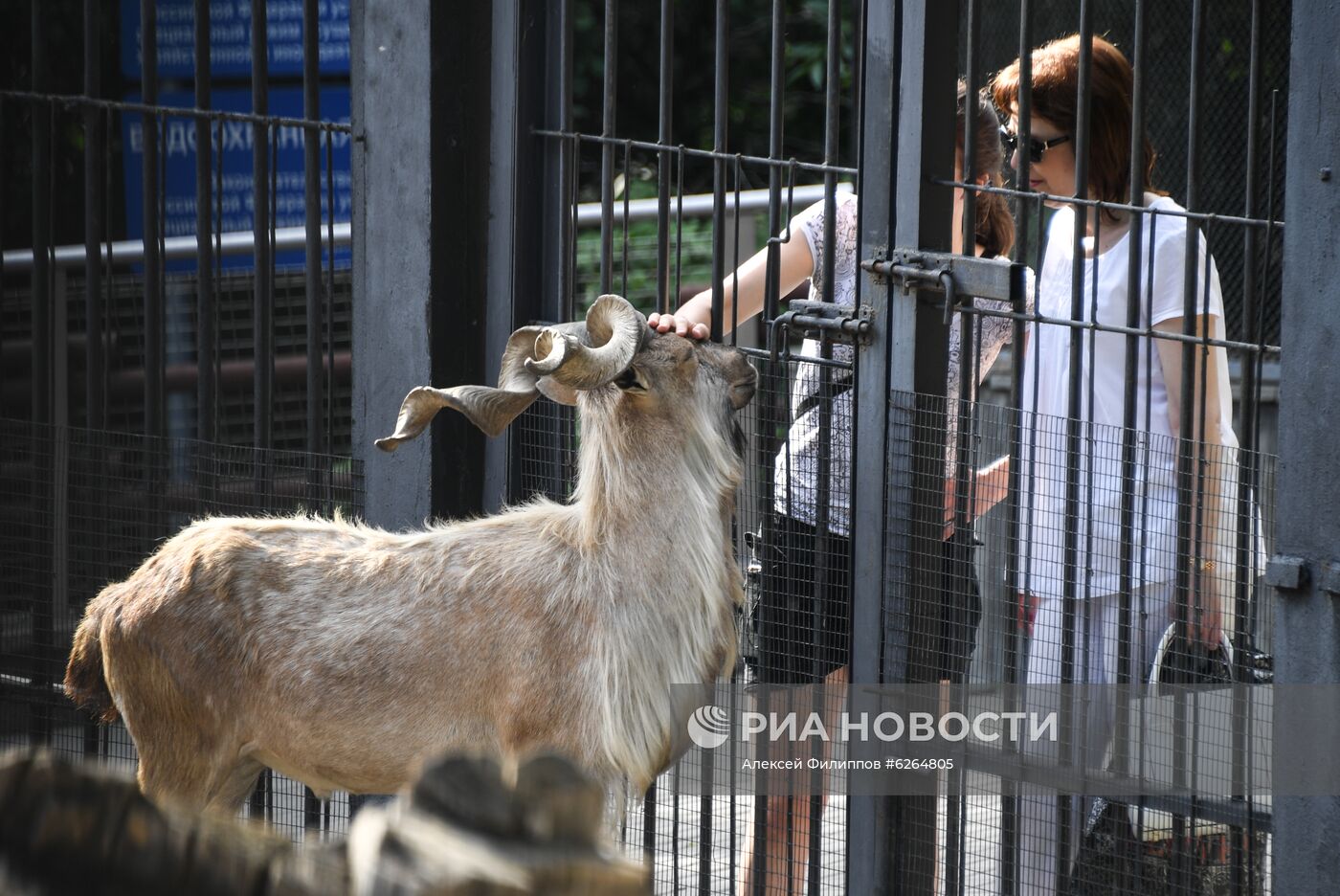 Московский зоопарк возобновил работу