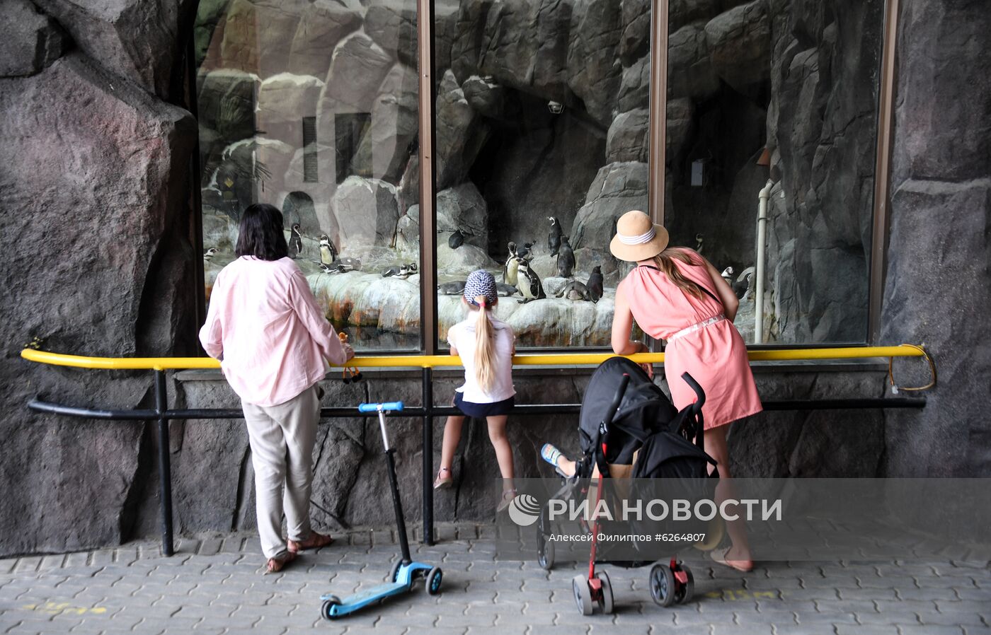 Московский зоопарк возобновил работу