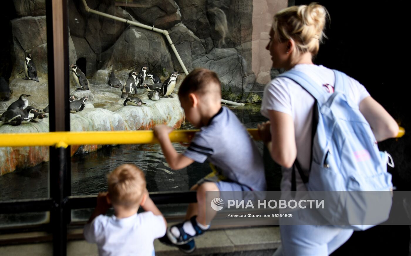 Московский зоопарк возобновил работу