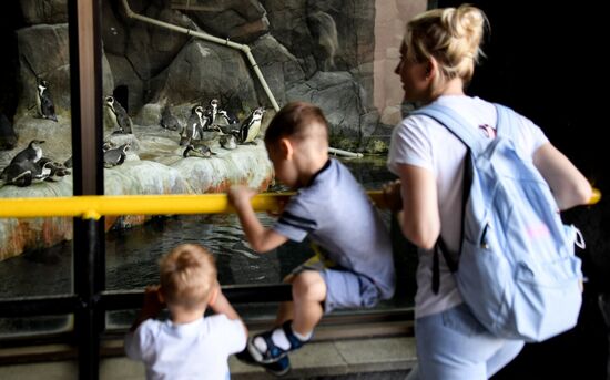 Московский зоопарк возобновил работу