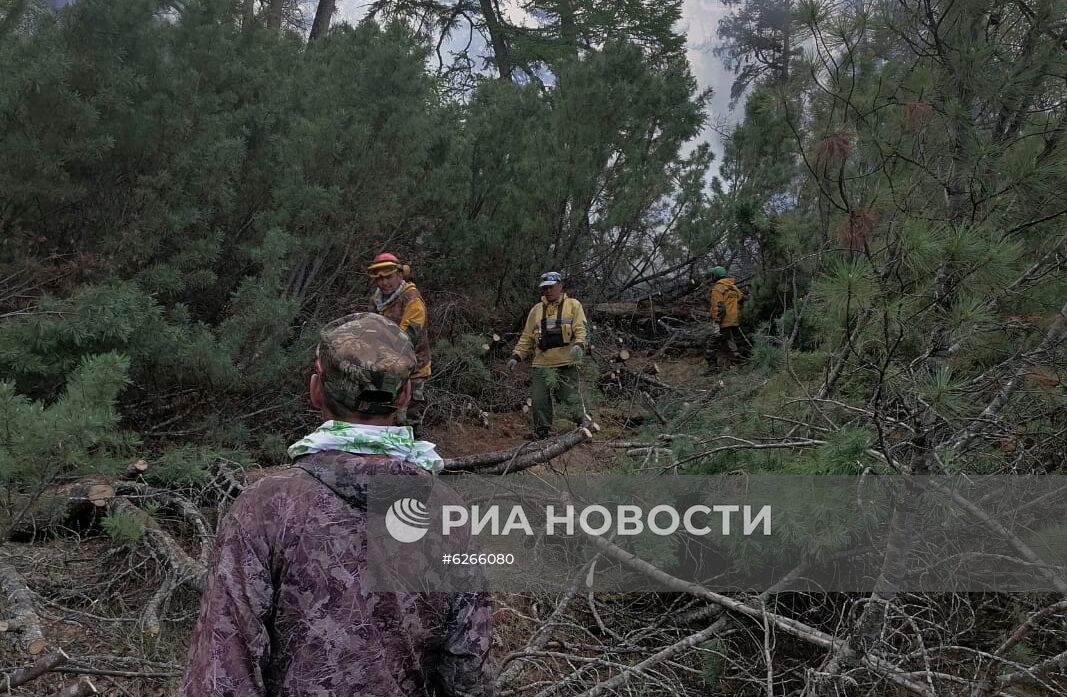 Лесные пожары на Камчатке