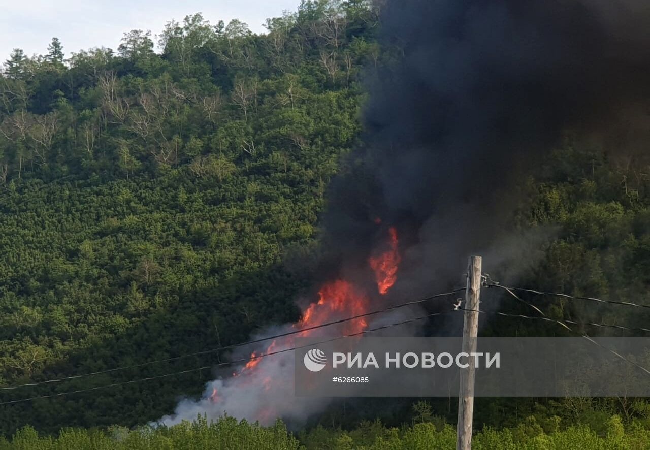 Лесные пожары на Камчатке