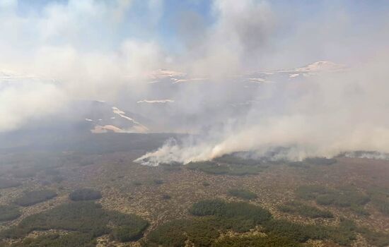 Лесные пожары на Камчатке