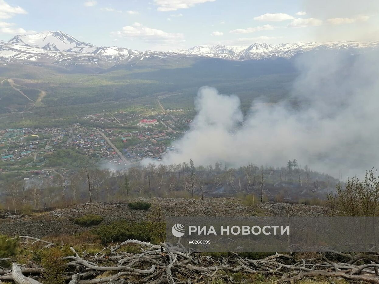 Лесные пожары на Камчатке