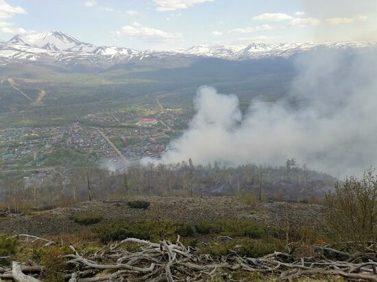 Лесные пожары на Камчатке