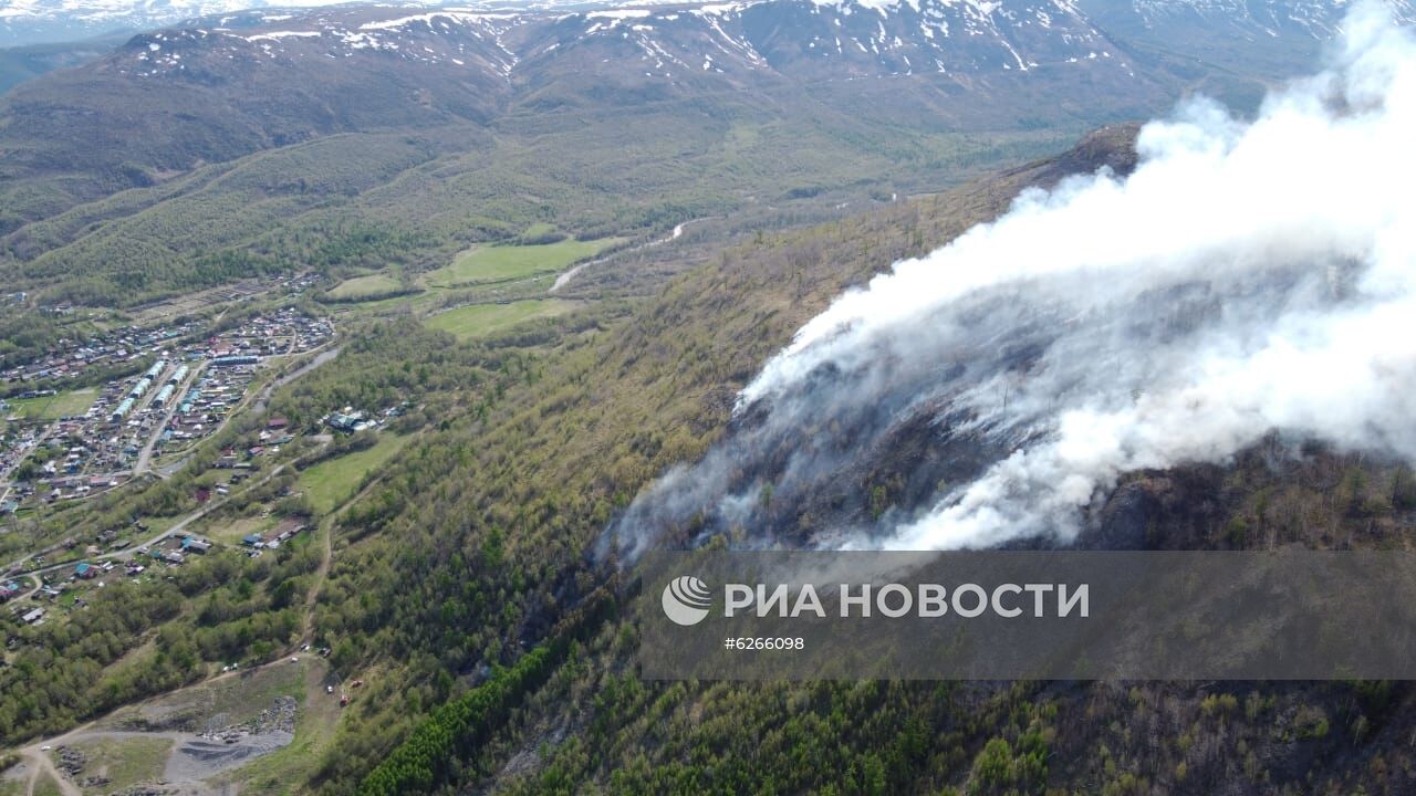 Лесные пожары на Камчатке