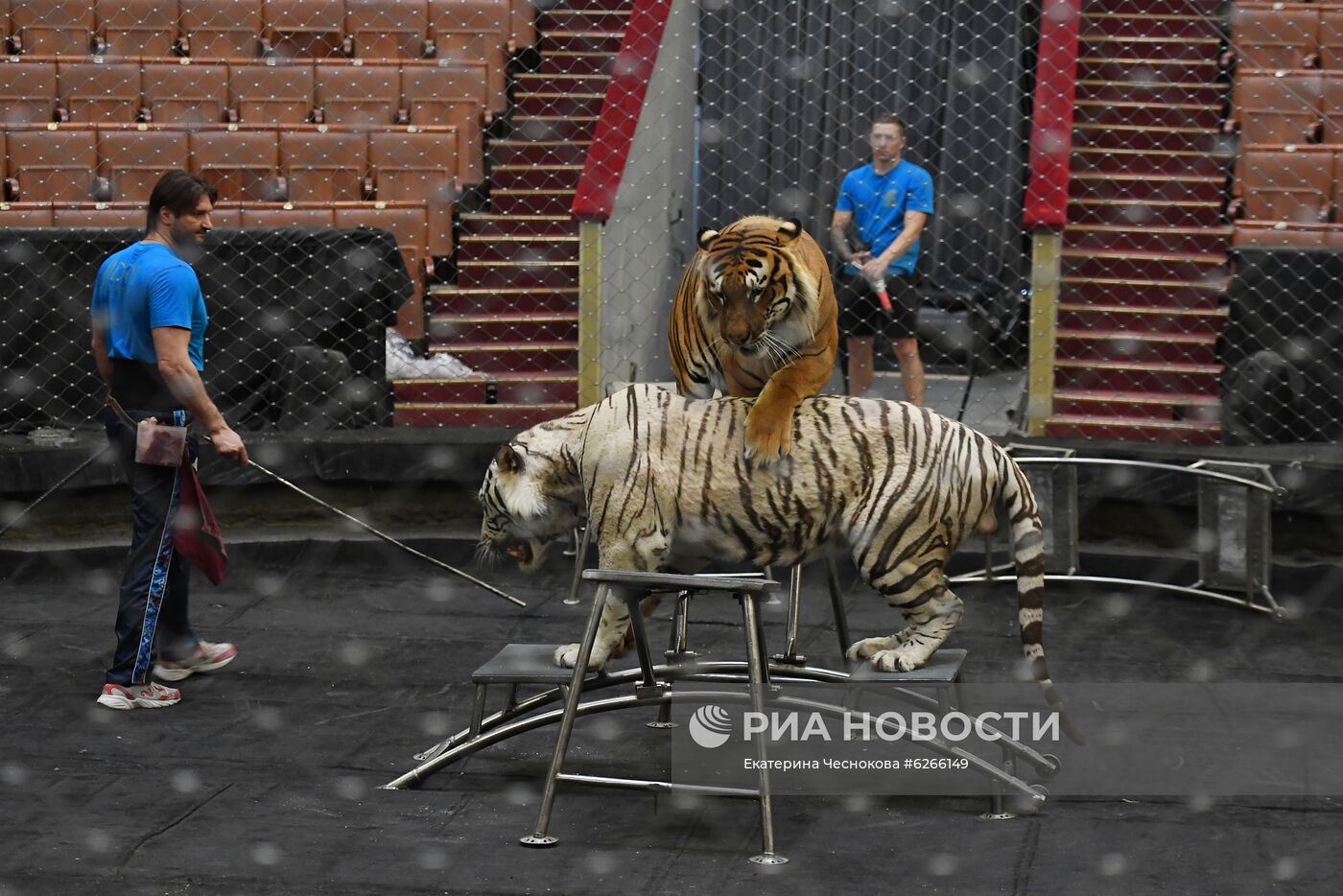 Репетиция в Большом Московском цирке