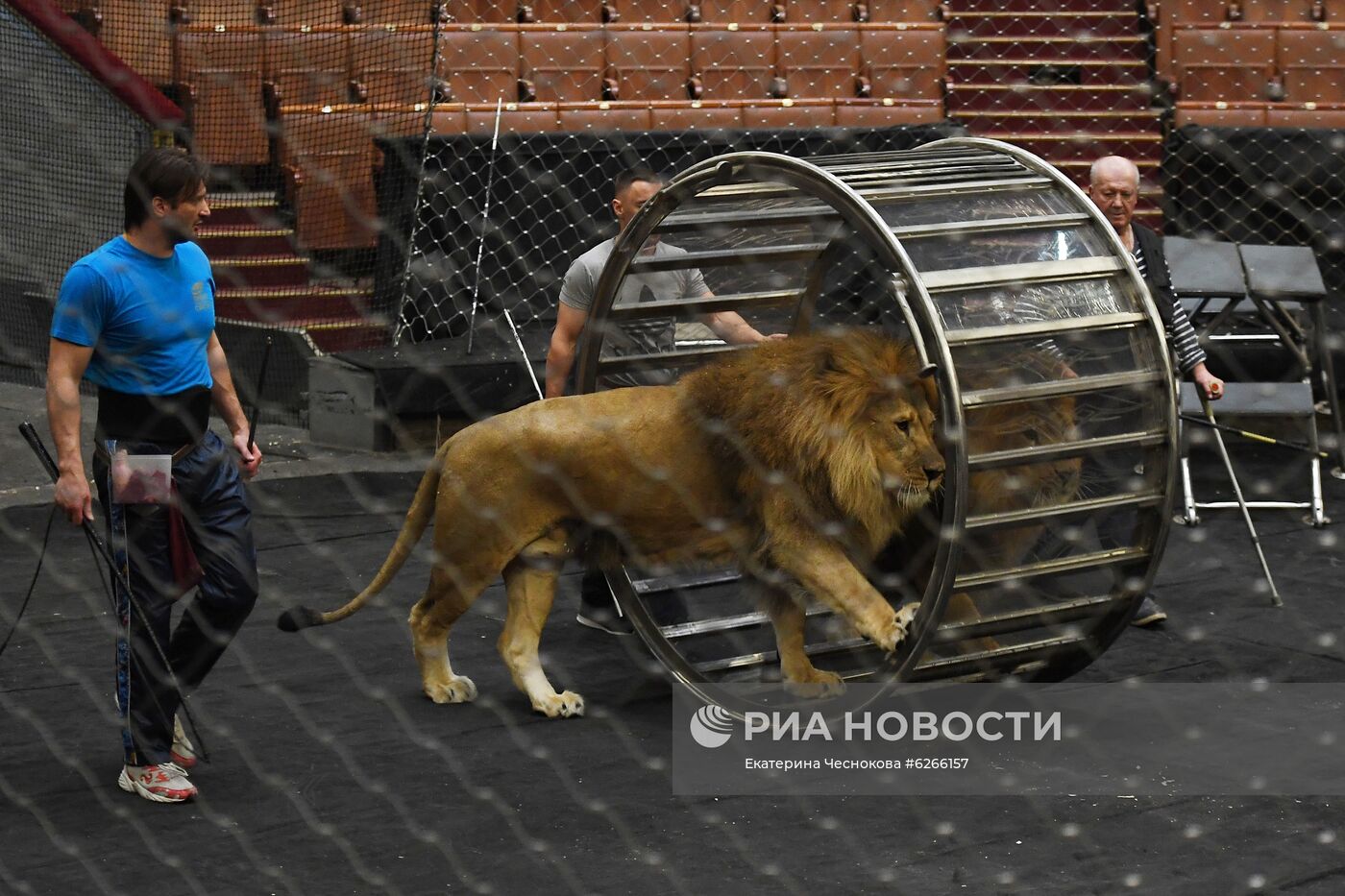 Репетиция в Большом Московском цирке