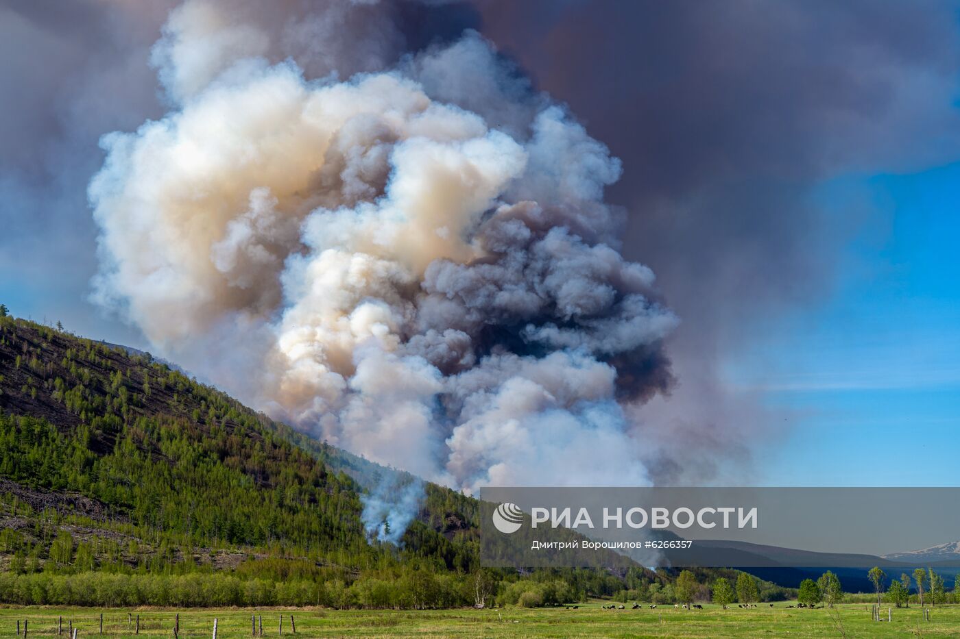 Лесные пожары на Камчатке