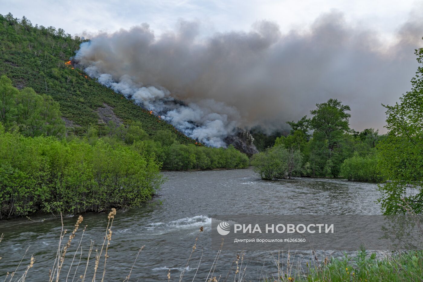 Лесные пожары на Камчатке