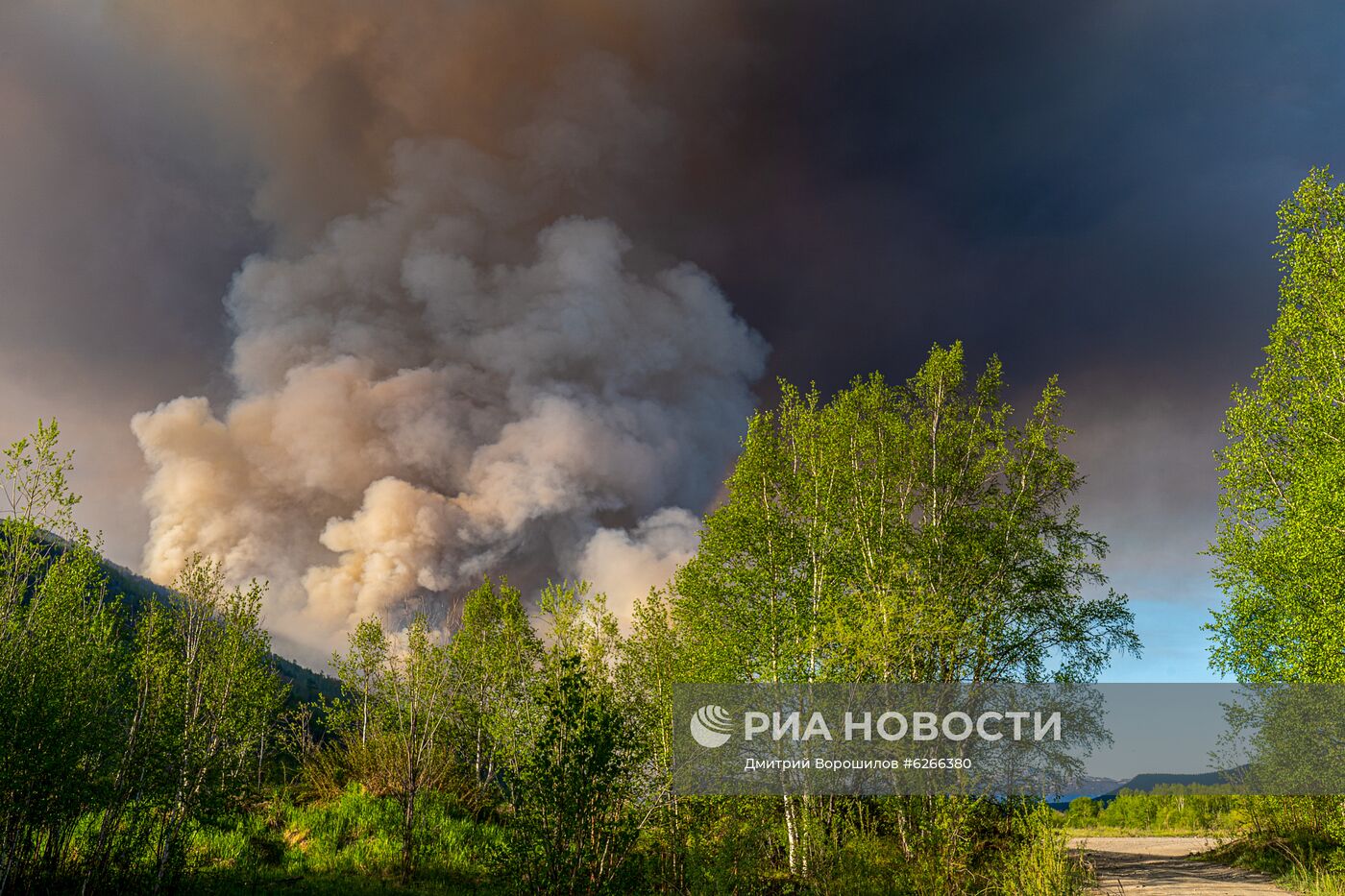 Лесные пожары на Камчатке