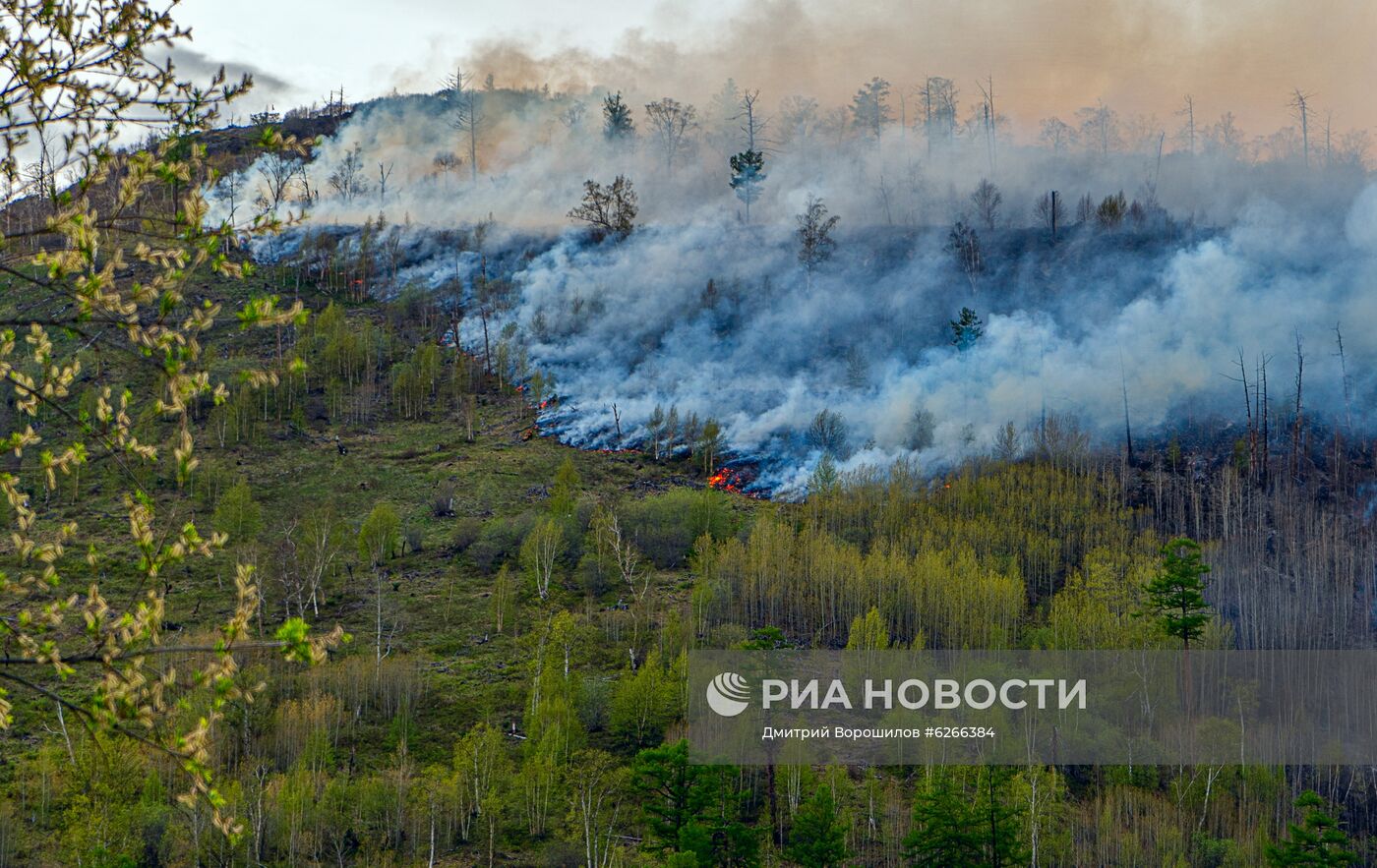 Лесные пожары на Камчатке