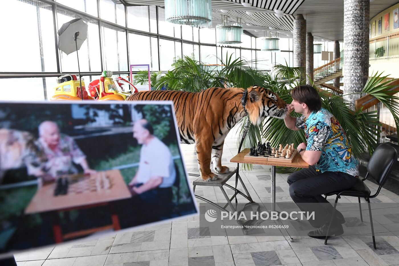 Репетиция в Большом Московском цирке