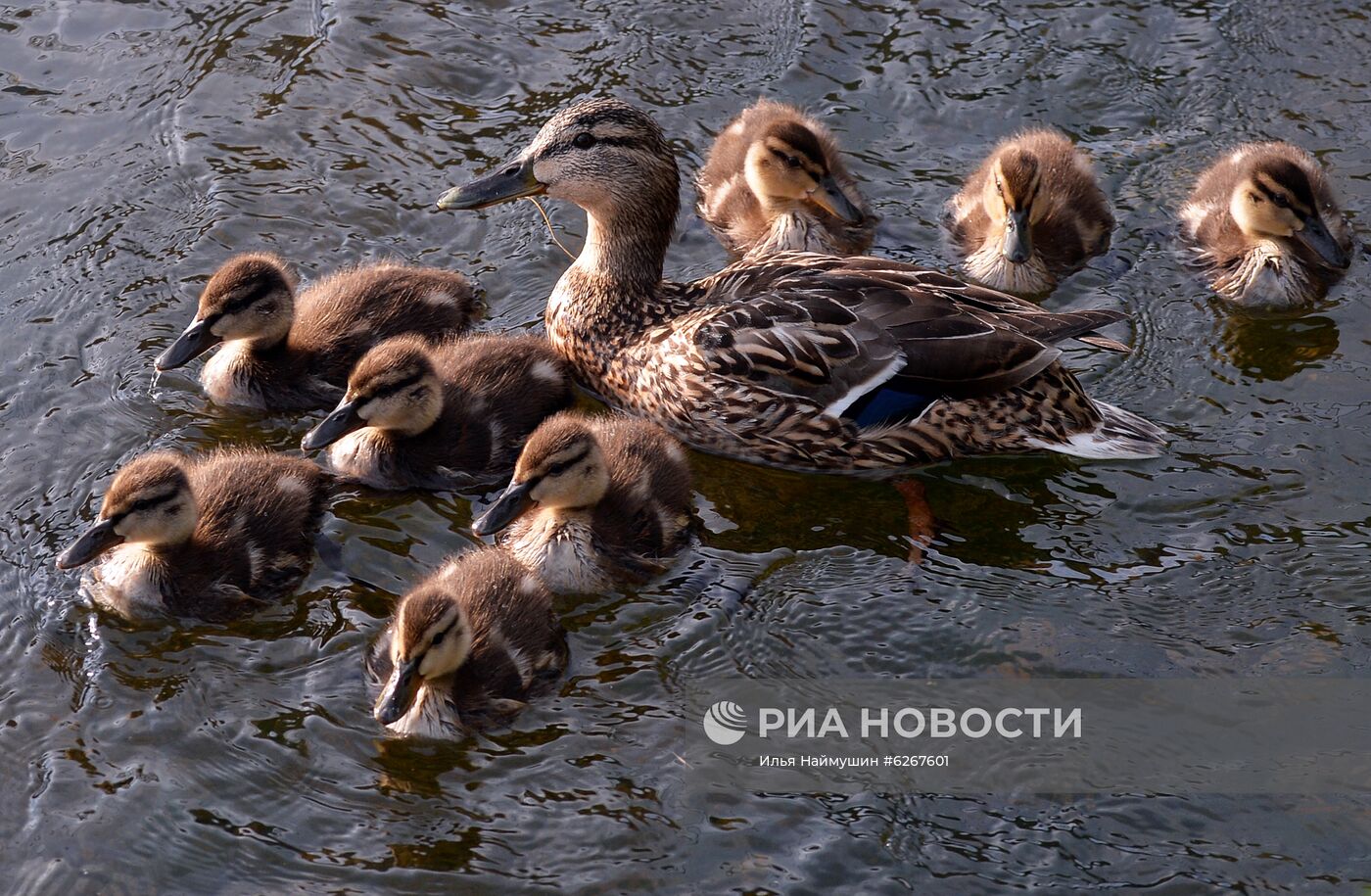 Города России. Красноярск