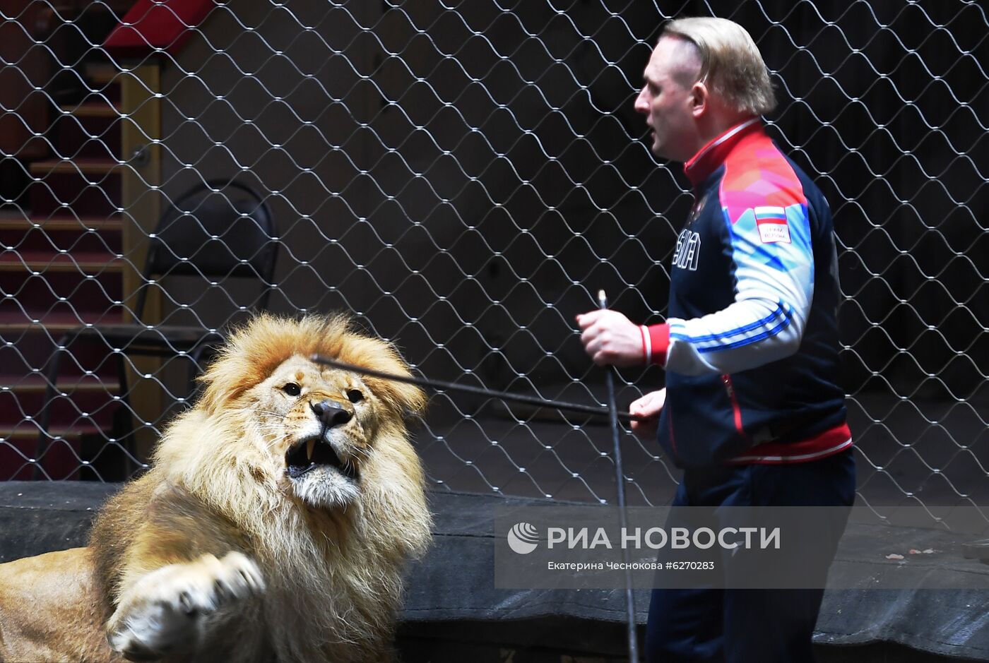 Репетиция в Большом Московском цирке