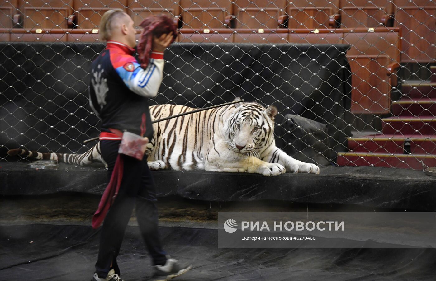 Репетиция в Большом Московском цирке