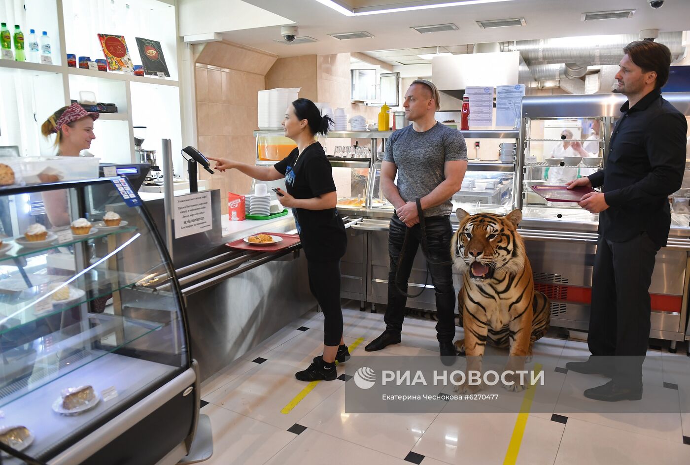 Репетиция в Большом Московском цирке