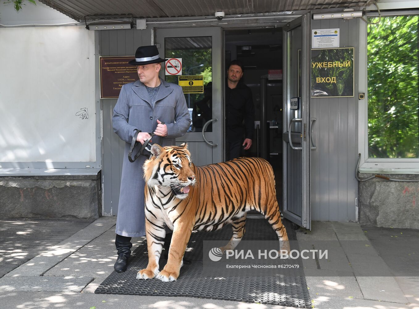 Репетиция в Большом Московском цирке